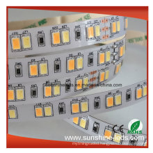 Super Brightness SMD5630 Dual Color CCT Changeable LED Strip